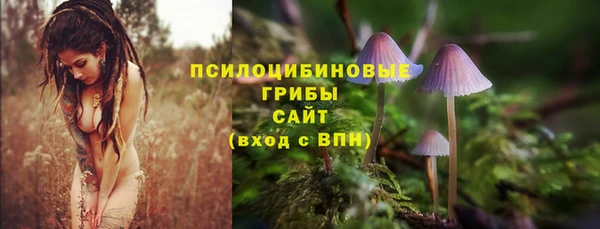 спиды Покров