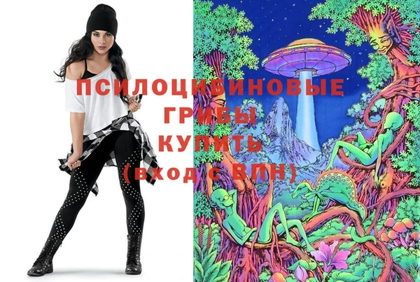 спиды Покров