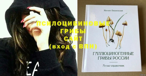 дурь Покачи